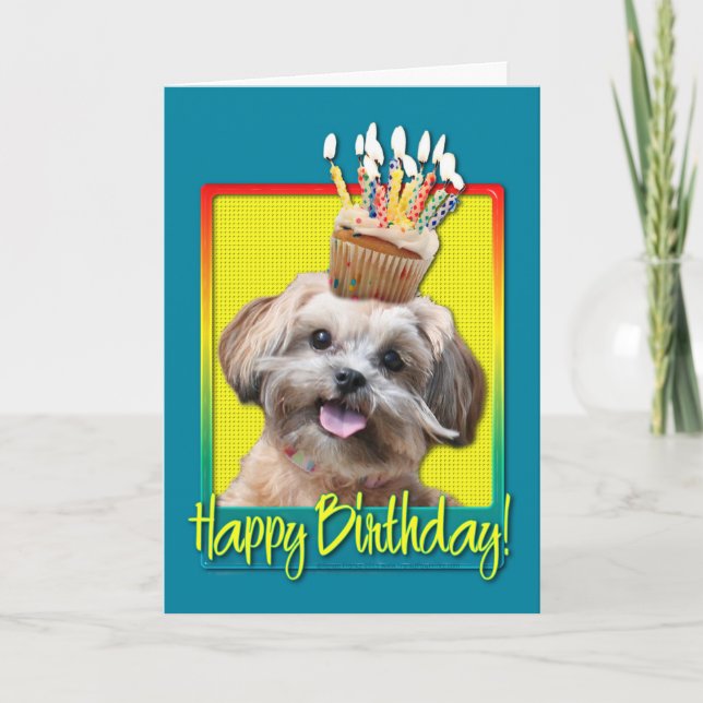 Birthday Cupcake - ShihPoo - Maggie Card (Front)