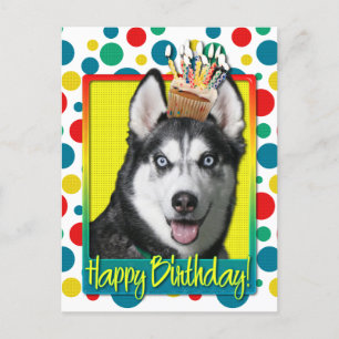Birthday Cupcake - Siberian Husky Postcard