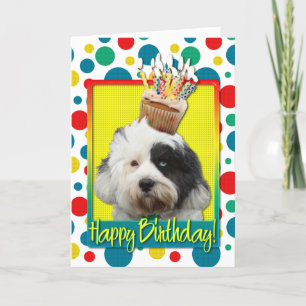 Birthday Cupcake - Tibetan Terrier Card