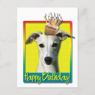 Birthday Cupcake - Whippet Postcard
