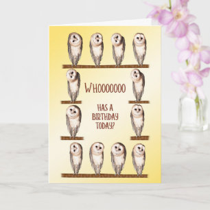 Birthday, Curious Owls Card