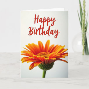 Birthday Daisy Delight Card