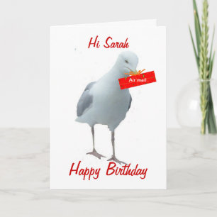 Birthday Day Card Seagull