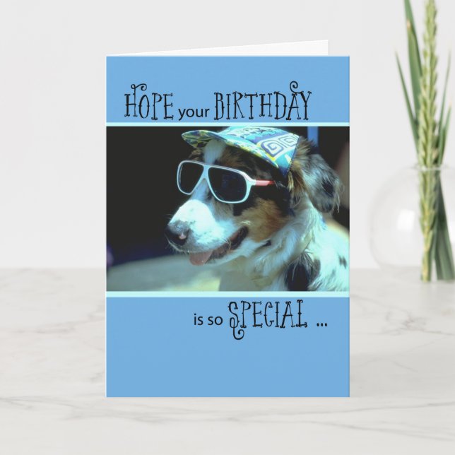 Birthday Dog in Sunglasses, Humourous Card (Front)
