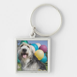 Birthday dog key ring