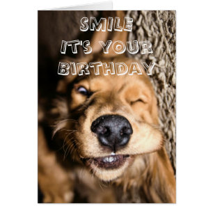 Birthday doggy greeting card