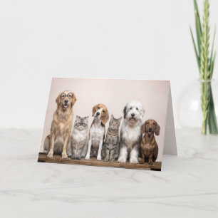 Birthday Dogs and Cats  Card