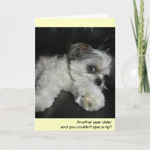 Birthday - don't give a rip! card