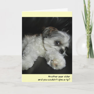 Birthday - don't give a rip! card