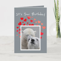 Birthday Flirty Polar Bears Cuddling Humour
