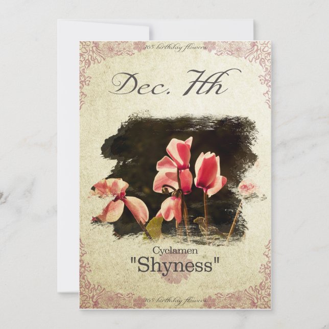 Birthday flowers on December 7th "Cyclamen" Card (Front)