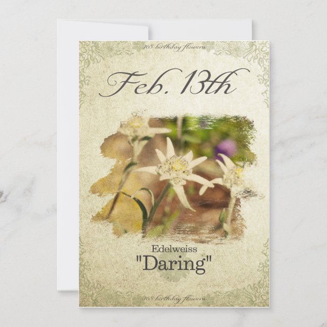 Birthday flowers on February 13th "Edelweiss" Card (Front)