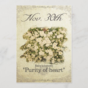 Birthday flowers on November 30th"Baby’s breath" Card