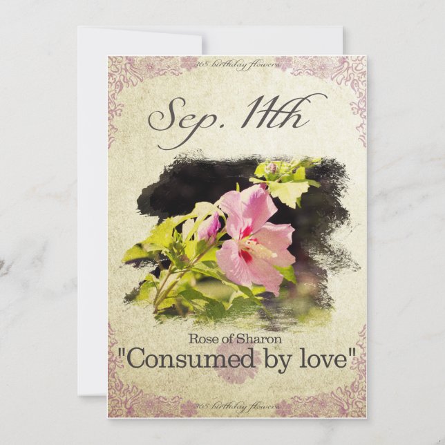Birthday flowers on September 11th "Rose of Sharon Card (Front)