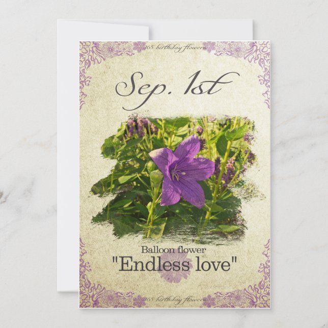 Birthday flowers on September 1st "Balloon flower" Card (Front)