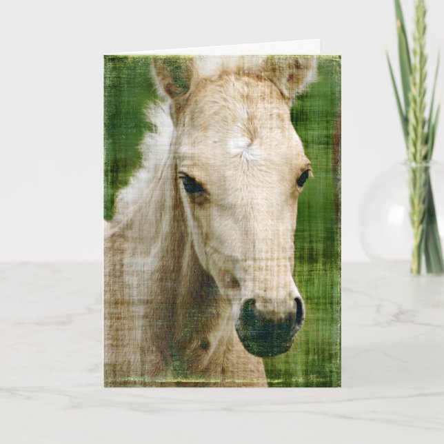 Birthday Foal Card (Front)