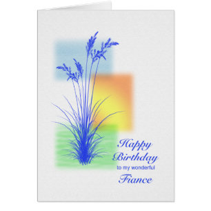Birthday for Fiance, grasses scene