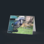 Birthday for Grandson, Blue Jay at Feeder Card<br><div class="desc">Photograph of a Blue Jay at a bird feeder. Perfect for that special bird lover. Birthday card for a grandson. Image and verse copyright © 2014,  Shoaff Ballanger Studios.</div>