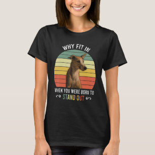Birthday For Kids With Stand Out Whippet T-Shirt