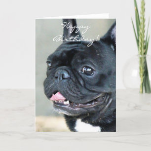 Birthday French Bulldog dog Card