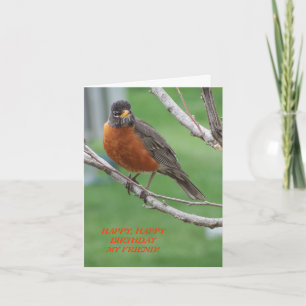 Birthday Friend, Robin & Cake Card