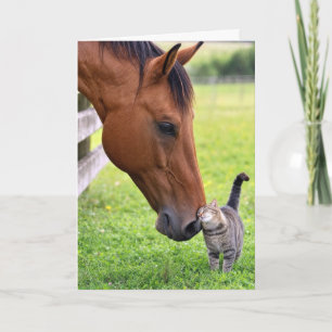 Birthday Friends Horse with Tabby Cat Card