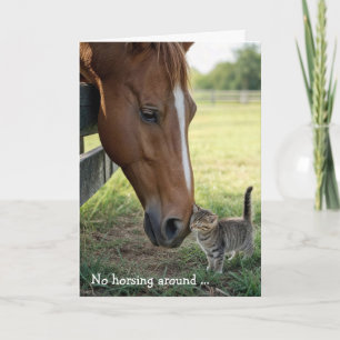 Birthday Friends Horse with Tabby Kitten Card