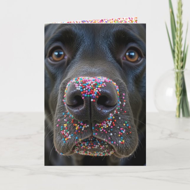Birthday Fun Black Lab Dog With Sprinkles Card (Front)