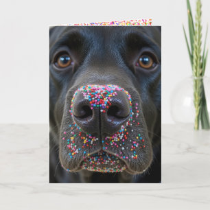 Birthday Fun Black Lab Dog With Sprinkles Card
