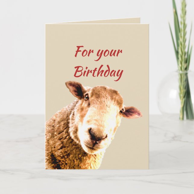 Birthday Fun  Funny Sheep Animal Humour Card (Front)