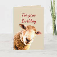 Birthday Fun Funny Sheep Animal Humour