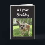 Birthday Fun Kangaroo Australia Animal art Card<br><div class="desc">Fun Kangaroo No Worries mate Birthday  Australian Animal Humour blank inside card</div>