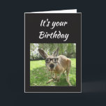 Birthday Fun Kangaroo Australia Animal art Card<br><div class="desc">Fun Kangaroo No Worries mate Birthday  Australian Animal Humour blank inside card</div>