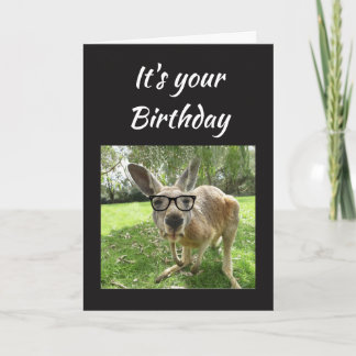 Birthday Fun Kangaroo Australia Animal art Card
