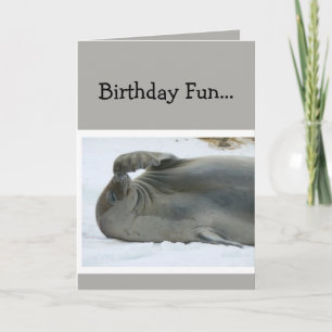 Birthday Fun Laughing Seal Age Humour Card