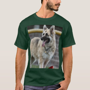 Birthday  fun T-Shirt