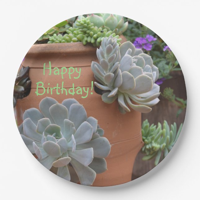 Birthday Fun With Succulents Paper Plate (Front)