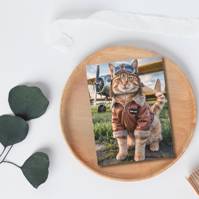 Birthday Funny Cat Pilot & Aeroplane Aviation Pet Postcard (Front )