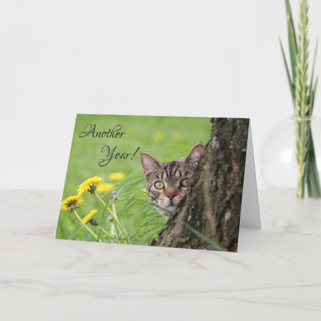 Birthday Funny Cat Tabby Nature Customise Card (Front)