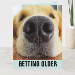BIRTHDAY FUNNY GETTING OLDER DOG GREETING CARD