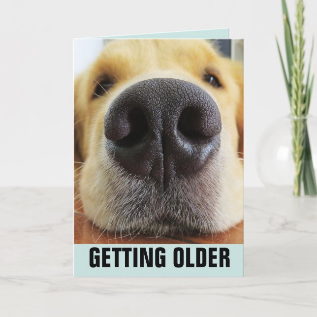 BIRTHDAY FUNNY GETTING OLDER DOG GREETING CARDS (Front)