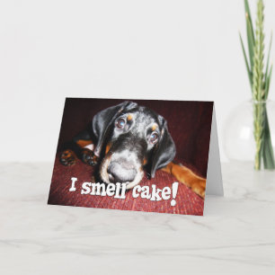 Birthday General - Nosy Doberman Pinscher Puppy Card