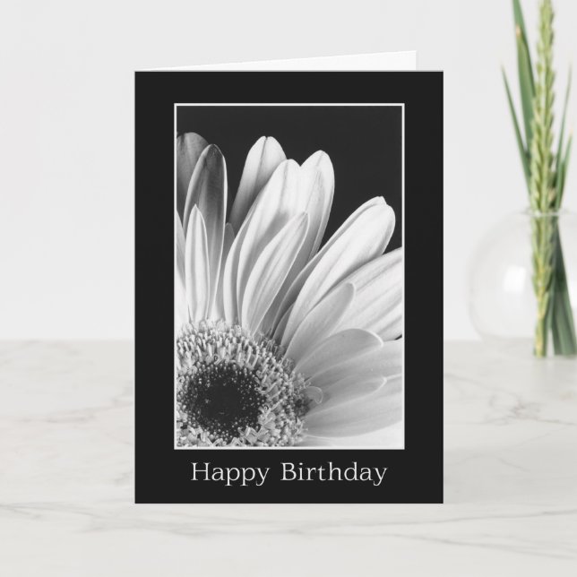Birthday - Gerber Daisy Greeting Card (Front)