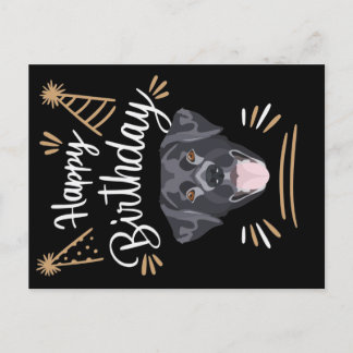 Birthday Gift Black Labrador Postcard