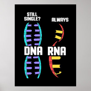 Birthday Gift   Teacher Biologist DNA And RNA Poster