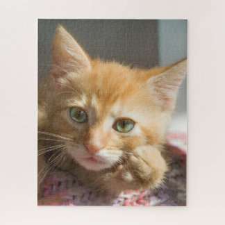 BIRTHDAY GINGER CAT KITTEN JIGSAW PUZZLE