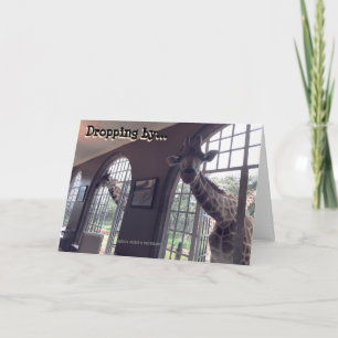 Birthday Giraffes Card