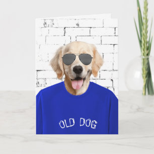 birthday golden retriever in blue t-shirt card