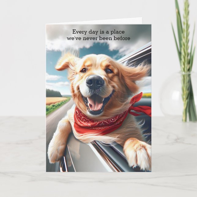 Birthday Golden Retriever in Car Window Card (Front)