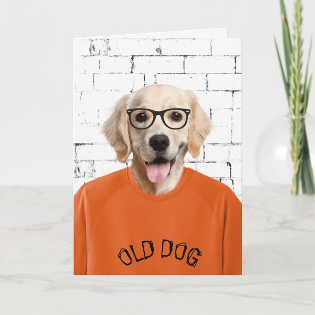 birthday golden retriever in orange t-shirt card (Front)